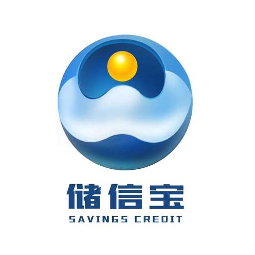 北京储信宝投资管理 稳健经营与行业洞察